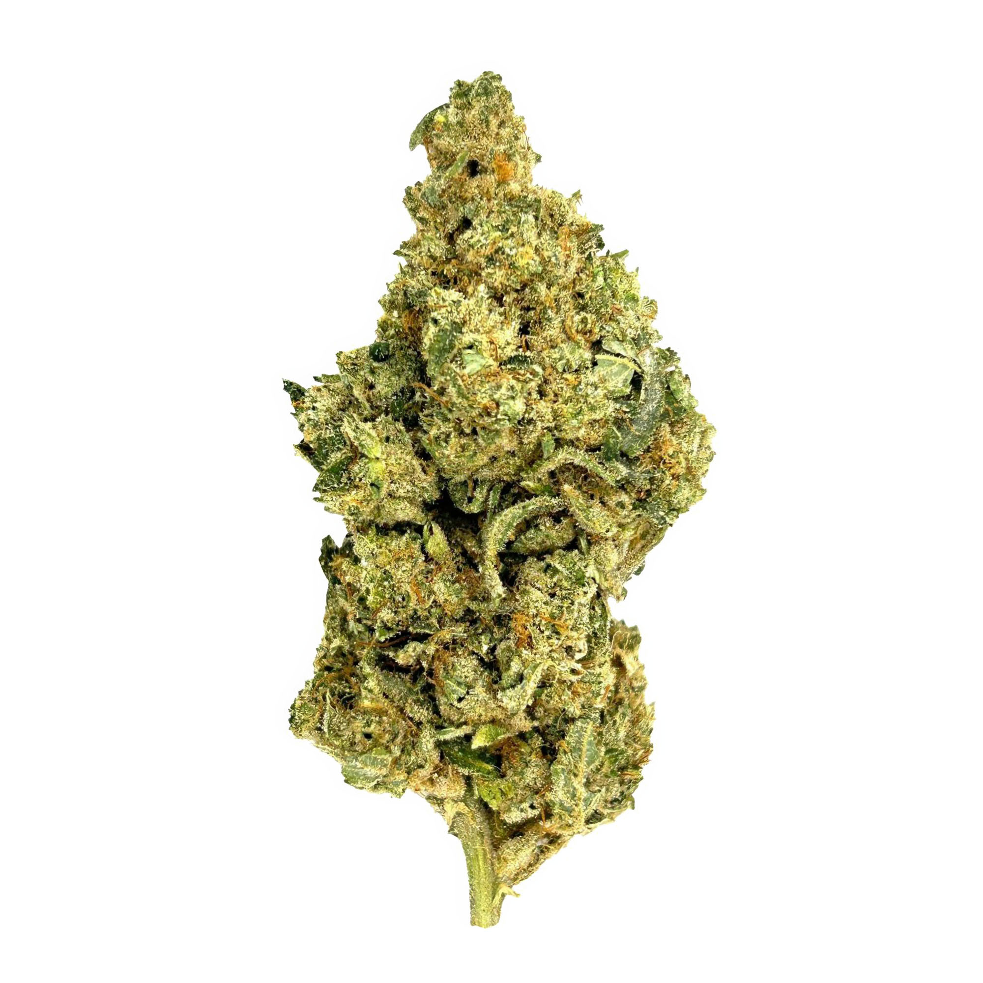 Sherbert Flower - THCA - Hybrid