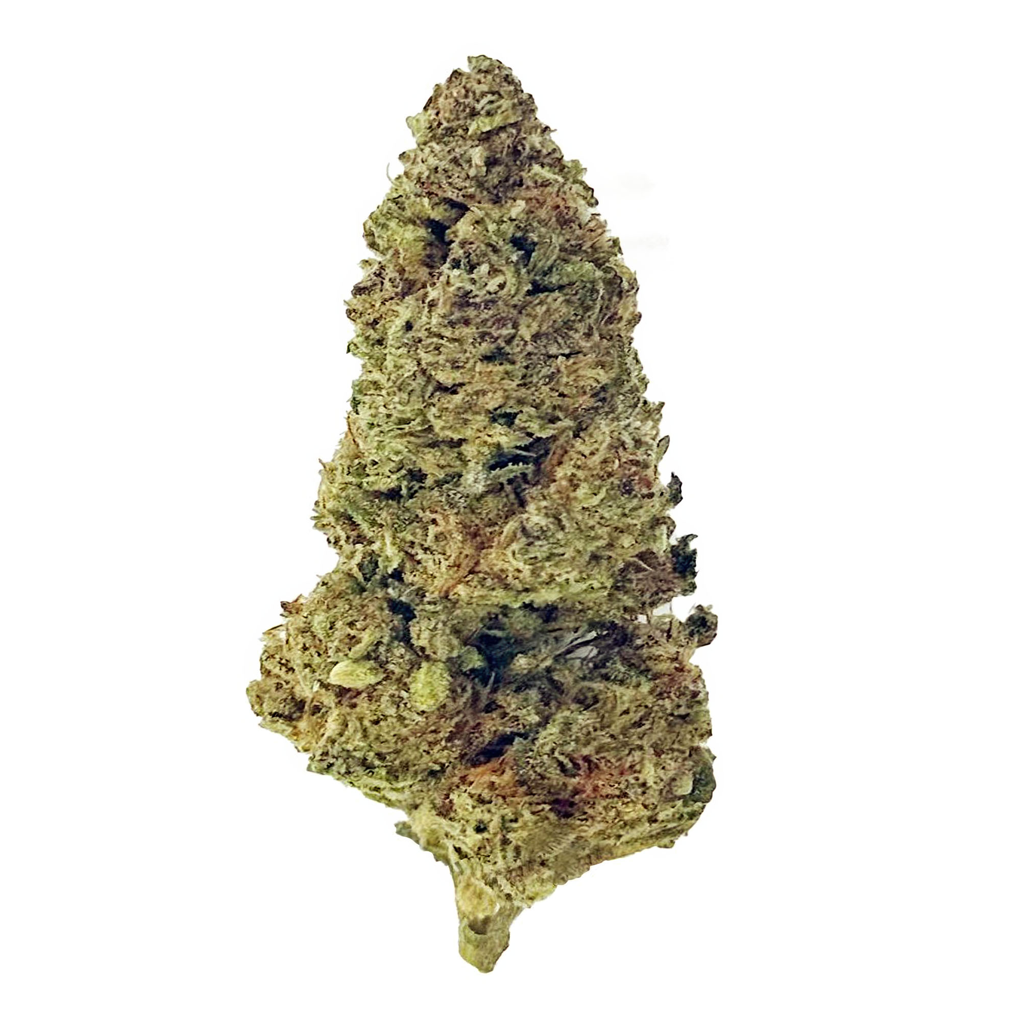Glitter Bomb Flower - THCA - Indica