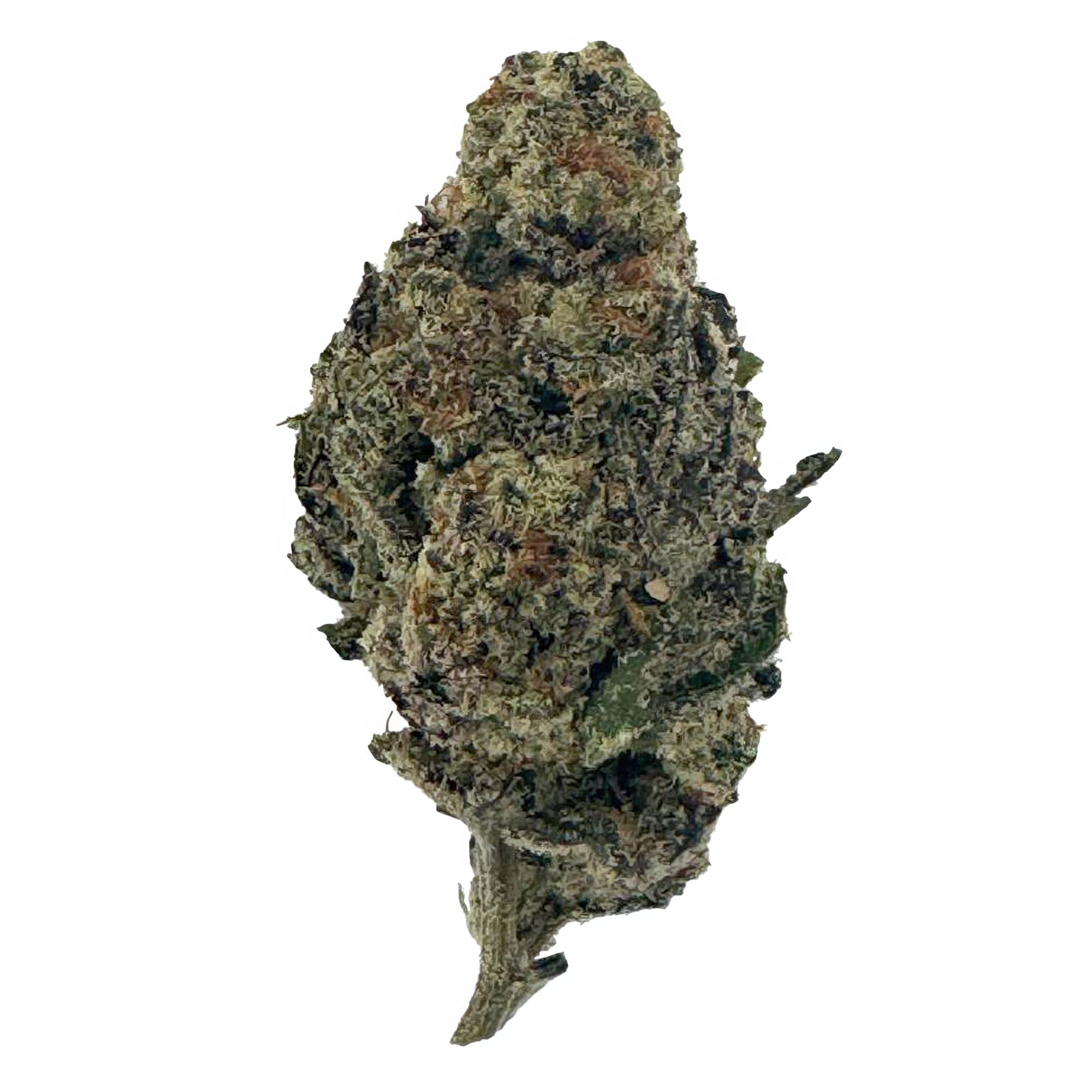 G Flower - THCA - Sativa