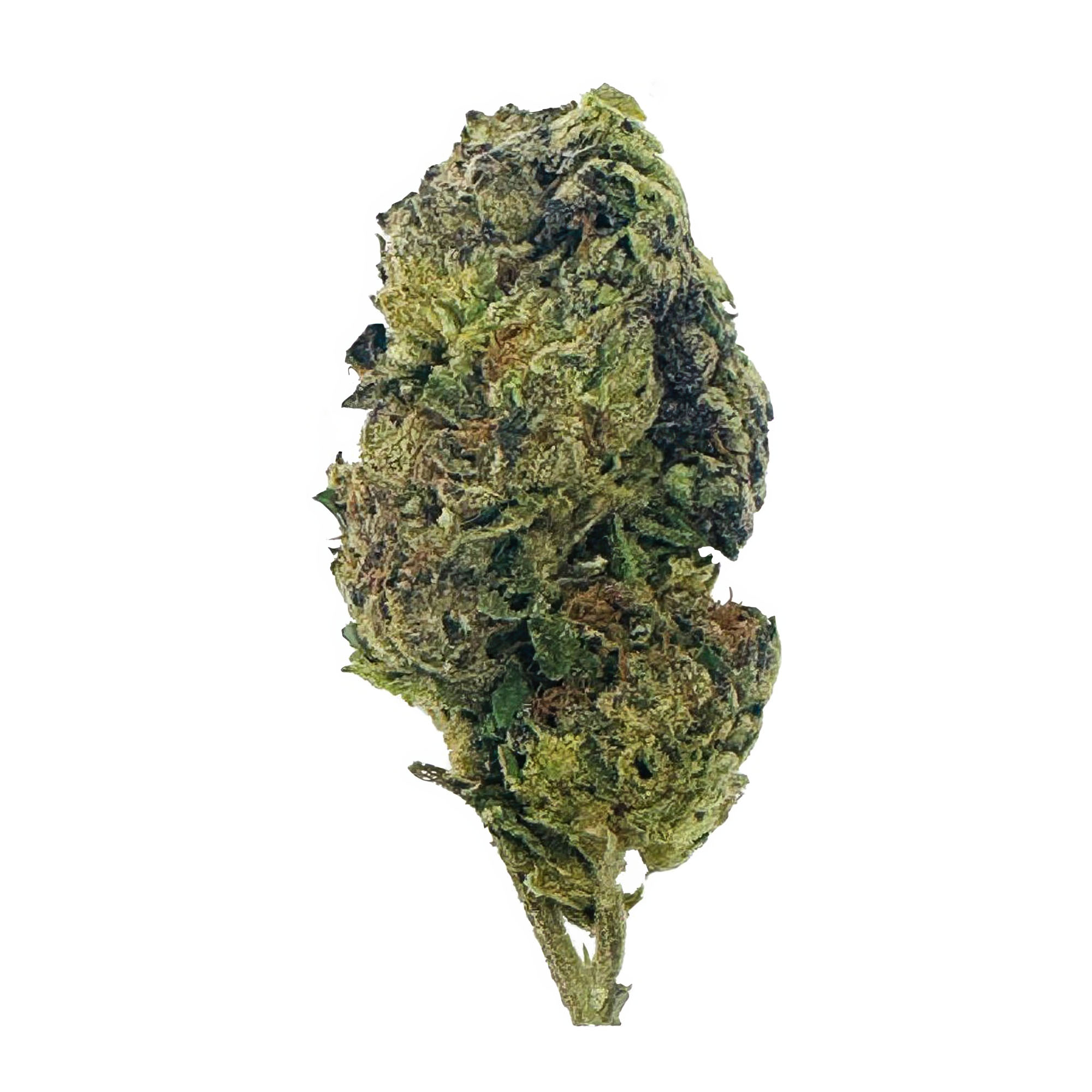 Silver Haze Flower - THCA - Sativa