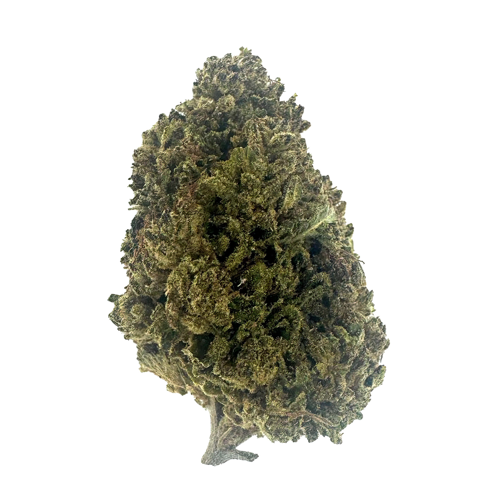 Cotton Candy Flower - THCA - Hybrid