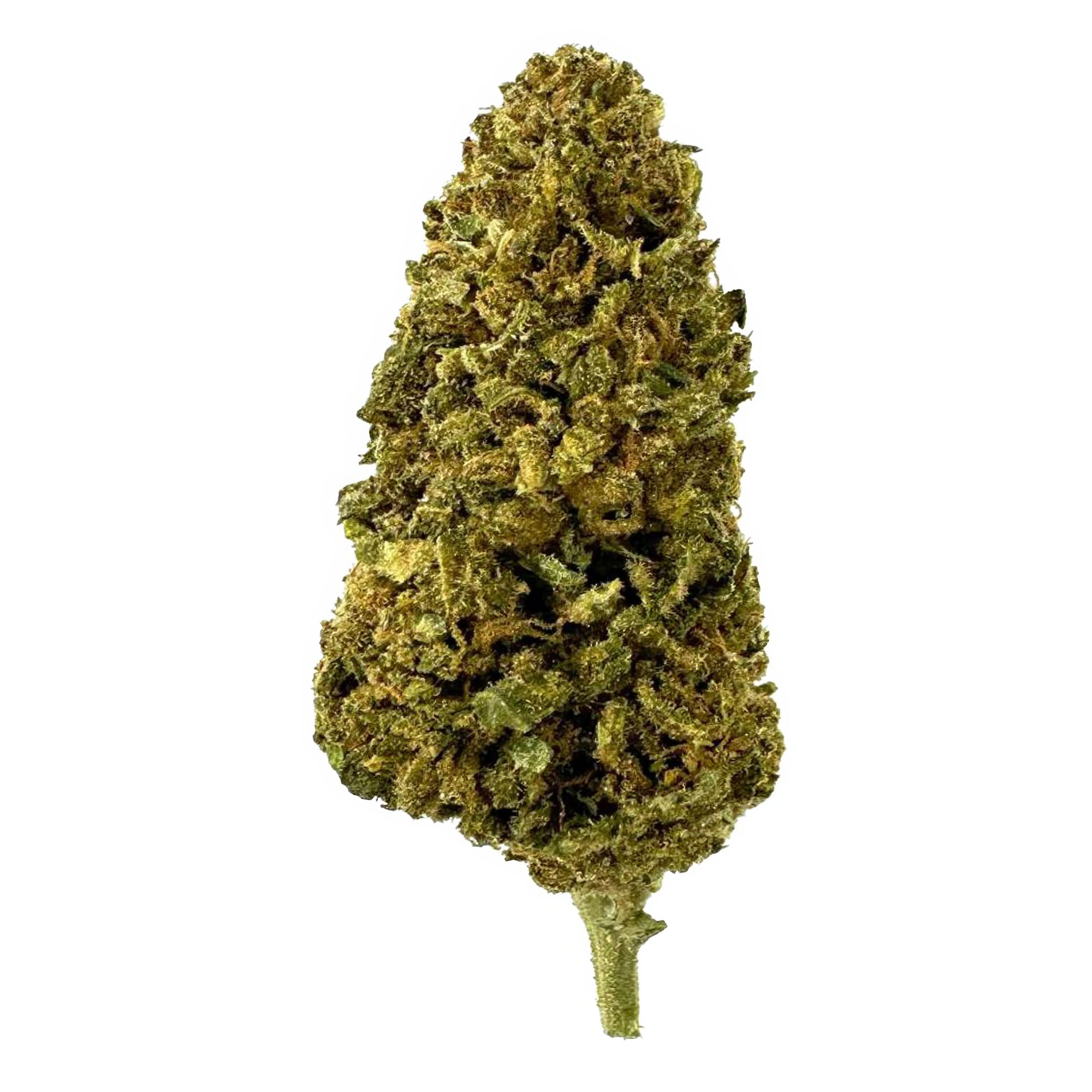 Illuminati Flower - THCA - Hybrid