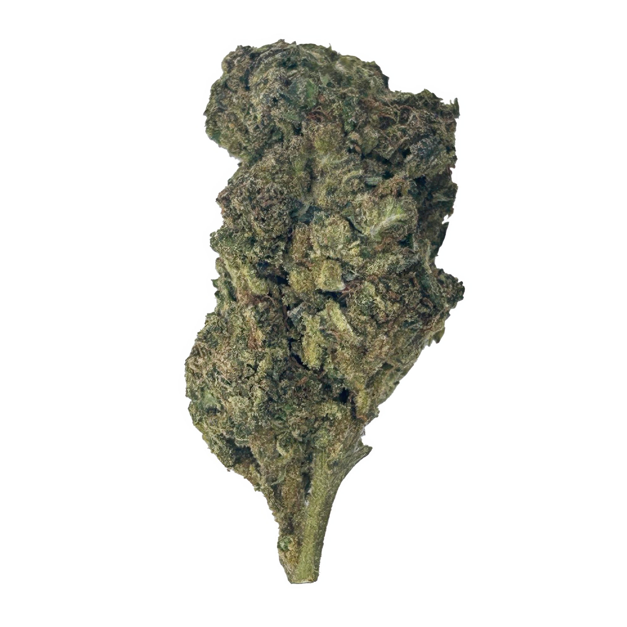 Gusher Cake Flower - THCA - Hybrid