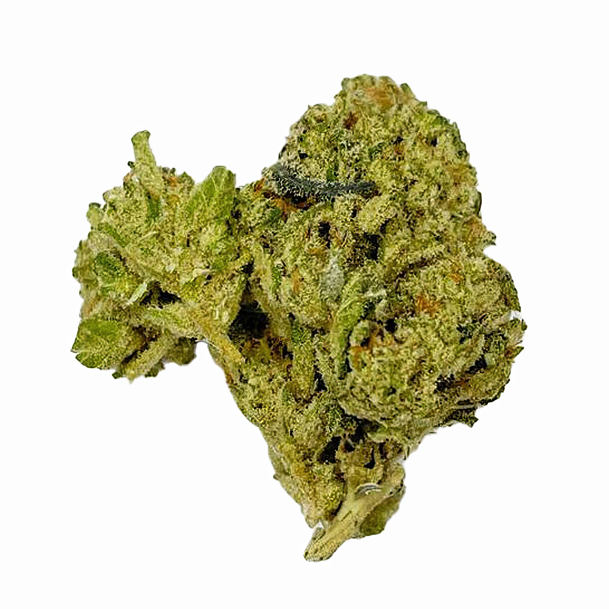 Cereal Milk Flower - THCA - Hybrid