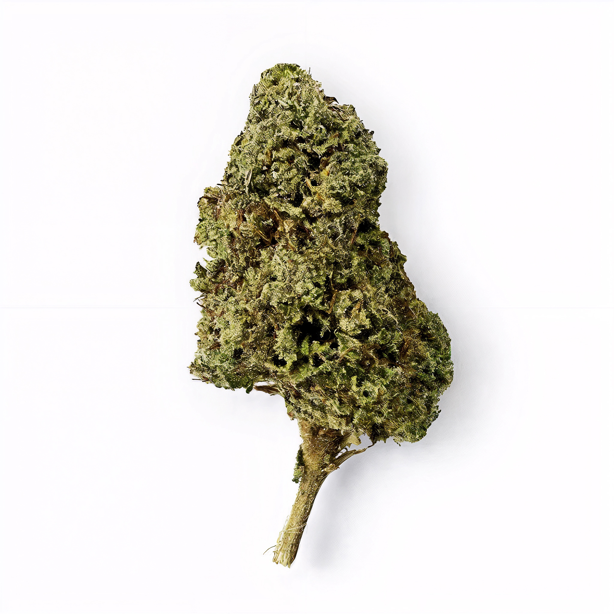 Godfather OG Flower - THCA - Hybrid