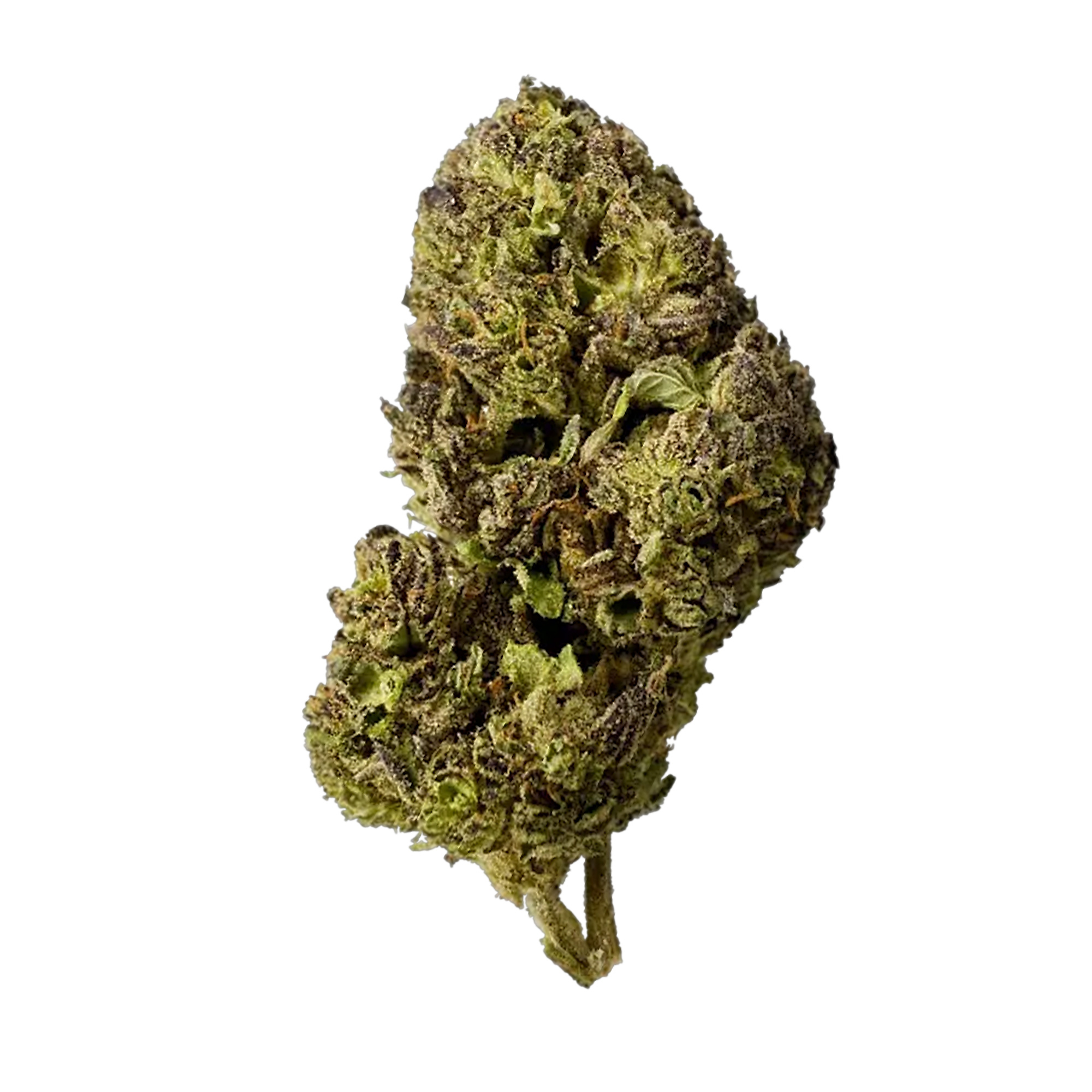 Wedding Wreck Flower - THCA - Hybrid