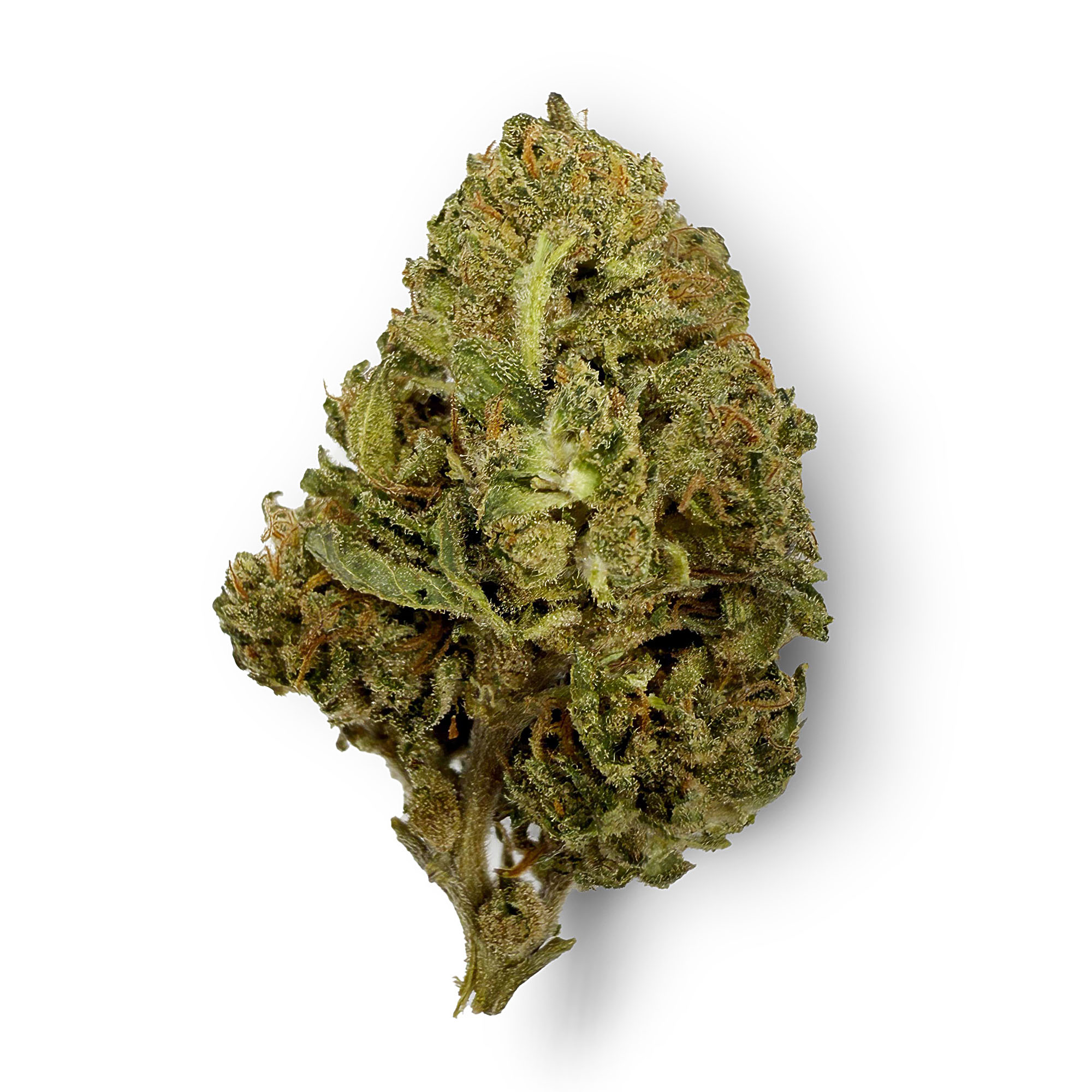 Red Congolese Flower - THCA - Sativa