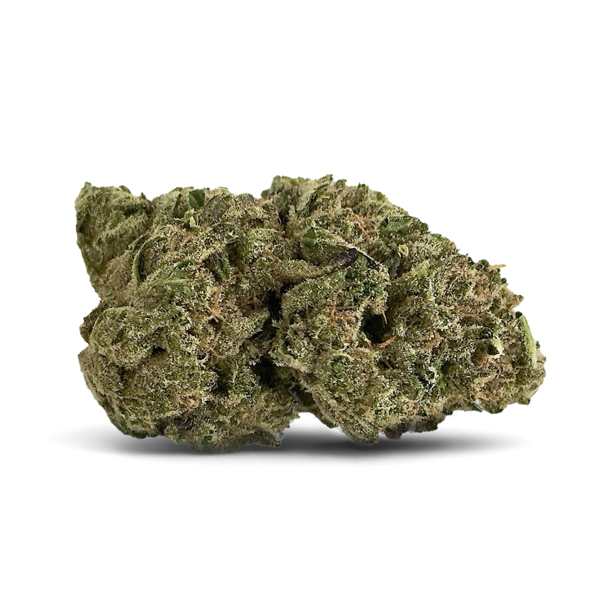 Beach Wedding Flower - THCA - Hybrid
