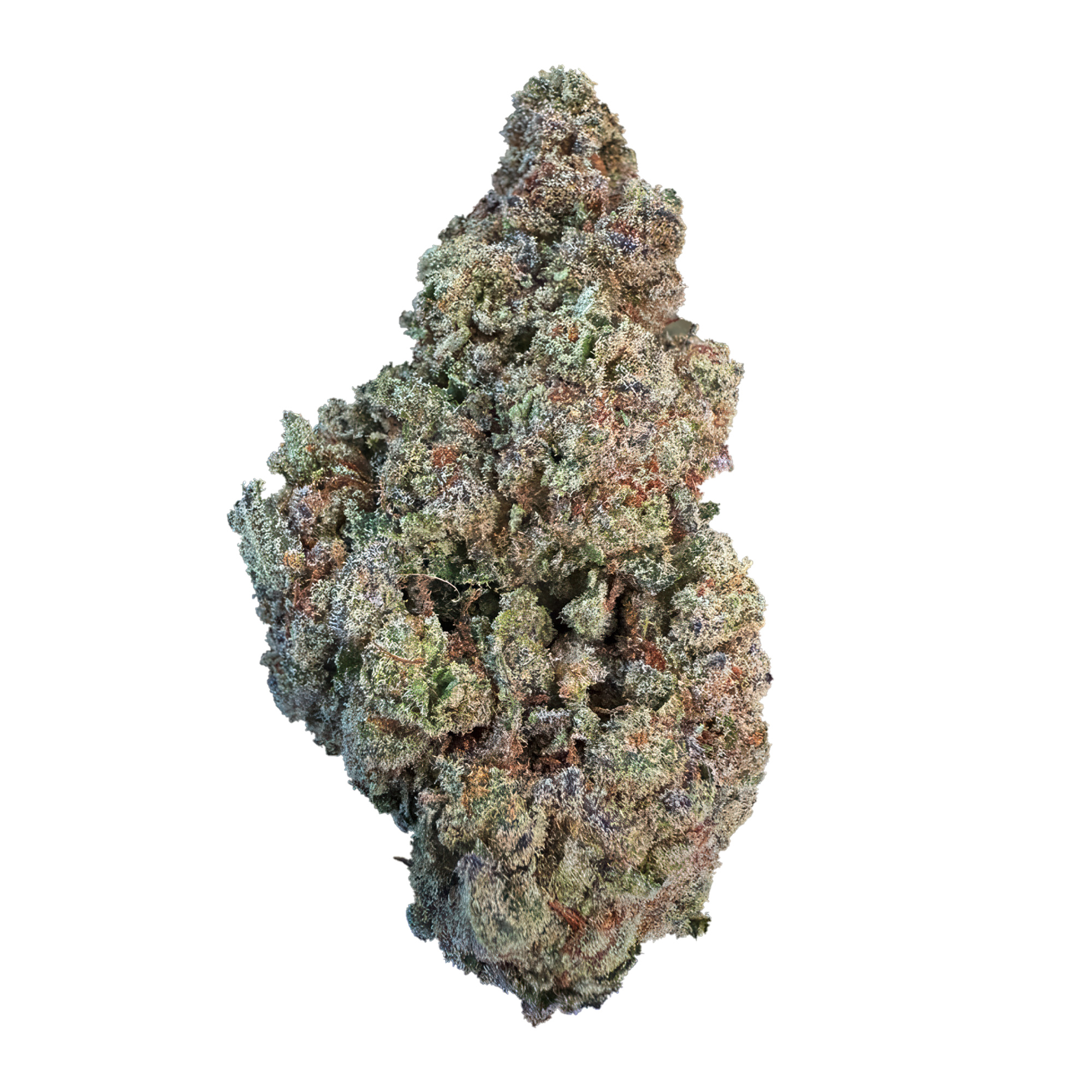 Sugar Tartz Flower - THCA - Hybrid