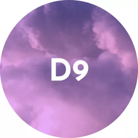 Delta 9 Products