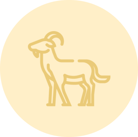 Golden Goat