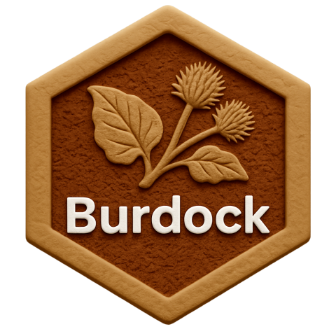 Burdock Products