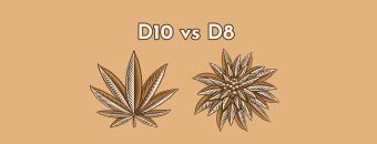 Delta 10 vs Delta 8: Differences & Benefits - Guide