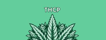 What is THCP? Understanding the Latest Cannabinoid