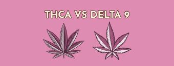 Hemp Derived Delta 9 vs THCA: What's Stronger?