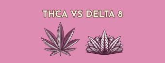 THCA vs Delta 8: Exploring The Differences & Benefits