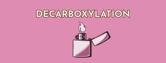 Decarboxylation 101: How THCA Turns to THC
