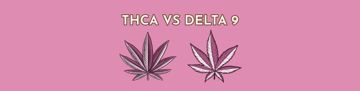 Hemp Derived Delta 9 vs THCA: What's Stronger?