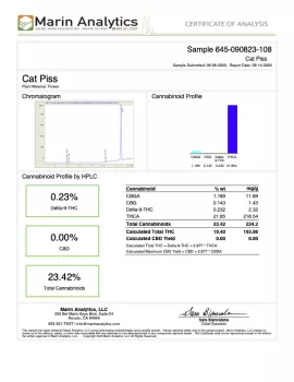 Cat Piss THCA Hemp Flower - Chill Plus - 1.5G