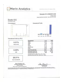 Exotic ICC Flower - Hybrid - THCA
