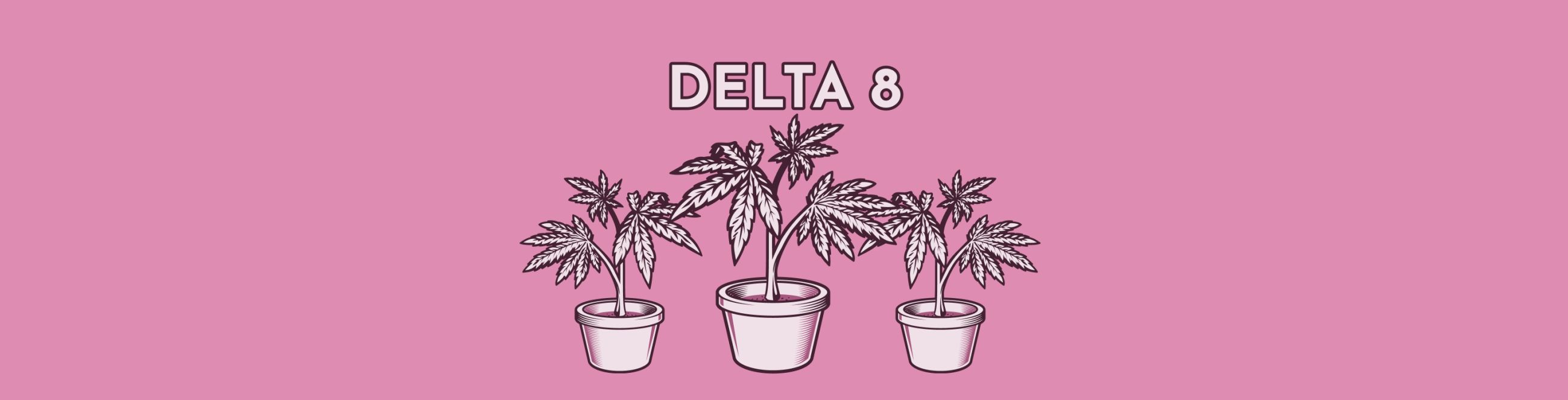  What Is Delta 8 & Does Delta 8 Show Up on a Drug Test?