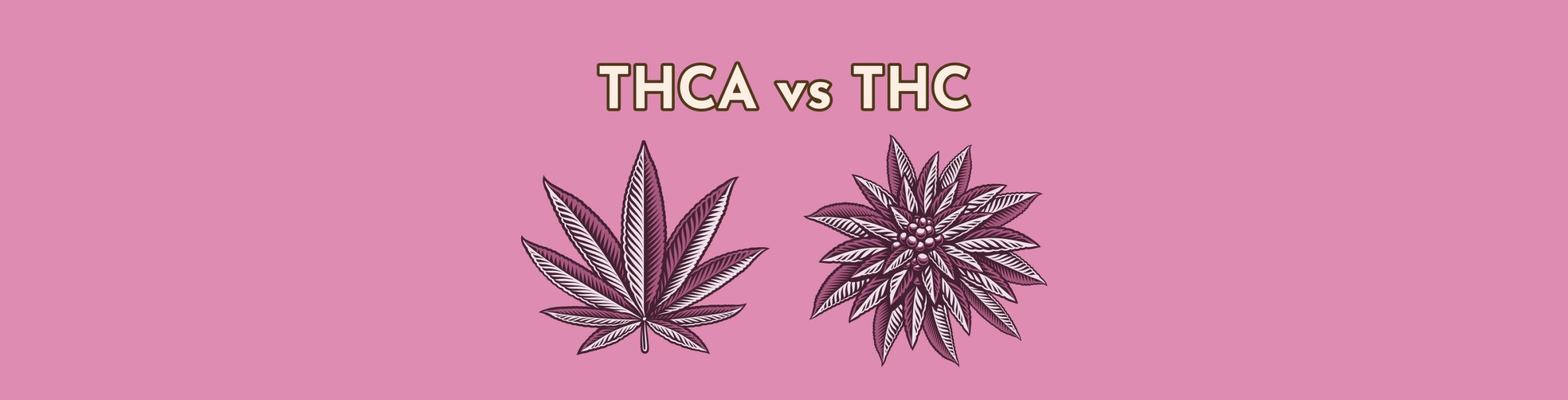 Understanding THCA vs THC