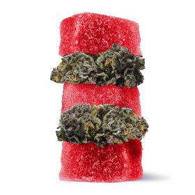 50mg Delta 8 + Live Resin Gummies - Granddaddy Purple - Indica