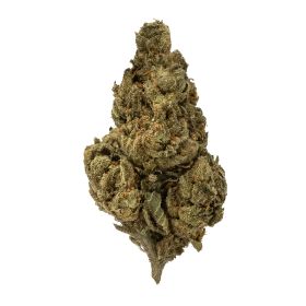 Jokerz Candy Flower - THCA - Hybrid