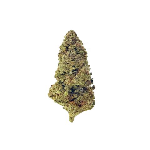 Glitter Bomb Flower - THCA - Indica - Video Thumbnail 1