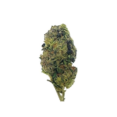 Silver Haze Flower - THCA - Sativa - Video Thumbnail 1