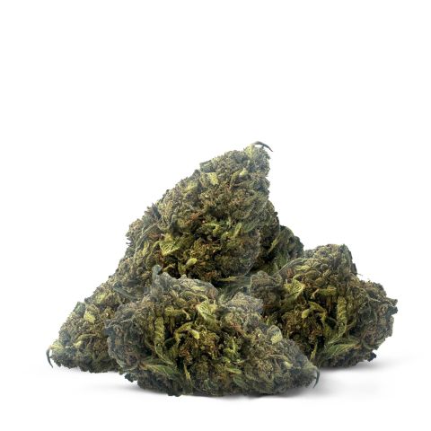 Purple Star Diesel Flower - THCA - Hybrid - Thumbnail 2