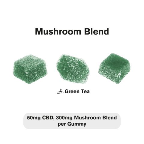 50mg BS, 300mg Mushroom Blend - Square Gummies - Thumbnail 3