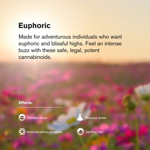 150mg Delta 8 Gummies - Tropical Mix - Thumbnail 6