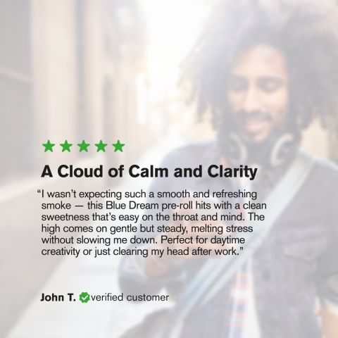 0.5g Blue Dream Mini Pre-Roll - Hybrid - THCA - 5 Joints - Thumbnail 10