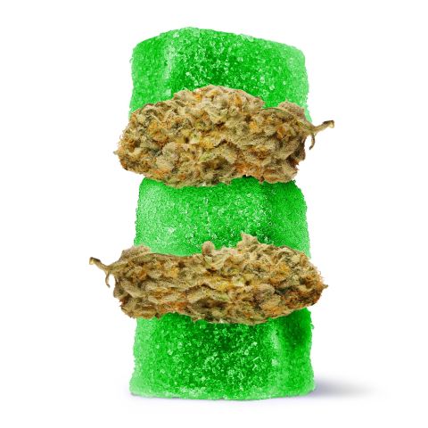 100mg Delta 8 + Live Resin Gummies - Jack Herer - Sativa - Thumbnail 1