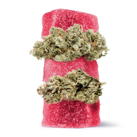 250mg D8 + Live Resin Gummies - GG4 - Hybrid - Thumbnail 1