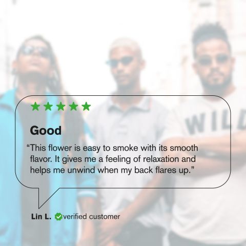 Gush Mintz Flower - THCA - Indica - Thumbnail 6