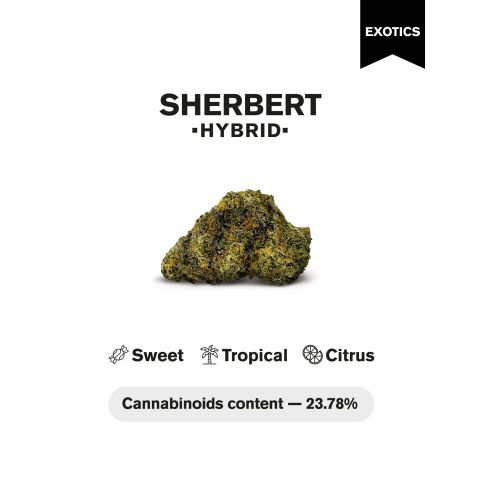 Sherbert Flower - THCA - Hybrid - Thumbnail 4