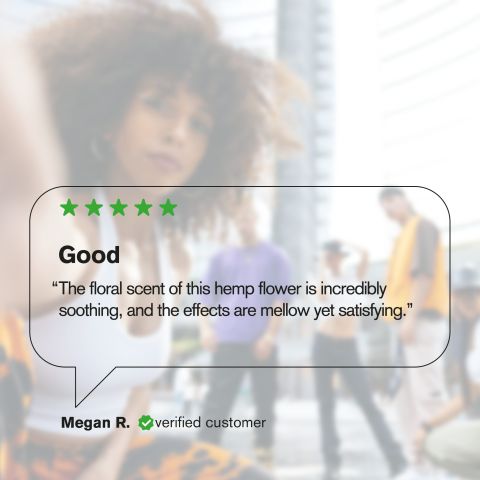 Sherbert Flower - THCA - Hybrid - Thumbnail 7