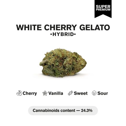 White Cherry Gelato Flower - THCA - Hybrid - Thumbnail 4