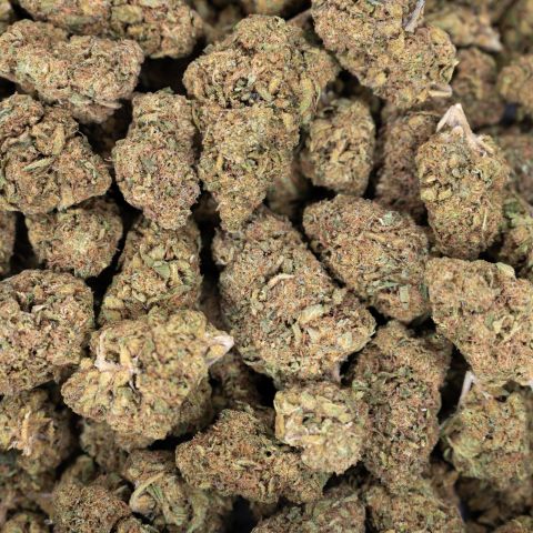 Pink Rozay Flower - THCA - Indica - Thumbnail 2