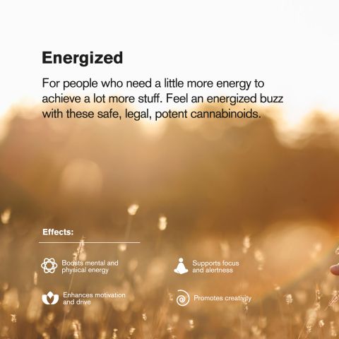 10mg Delta 9 Gummies - Strawberry - Thumbnail 6