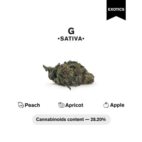 G Flower - THCA - Sativa - Thumbnail 4
