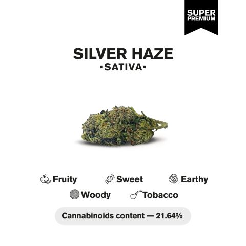 Silver Haze Flower - THCA - Sativa - Thumbnail 4