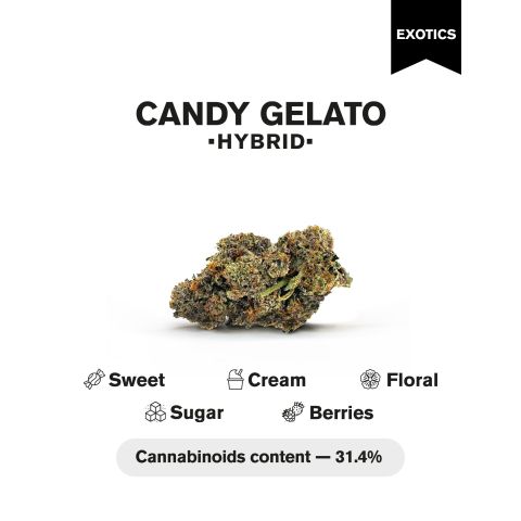 Candy Gelato Flower - THCA - Hybrid - Thumbnail 4