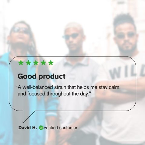 Melonatta Flower - THCA - Hybrid - Thumbnail 7