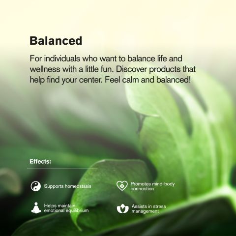 Rebel Runtz Flower - THCA - Indica - Thumbnail 6