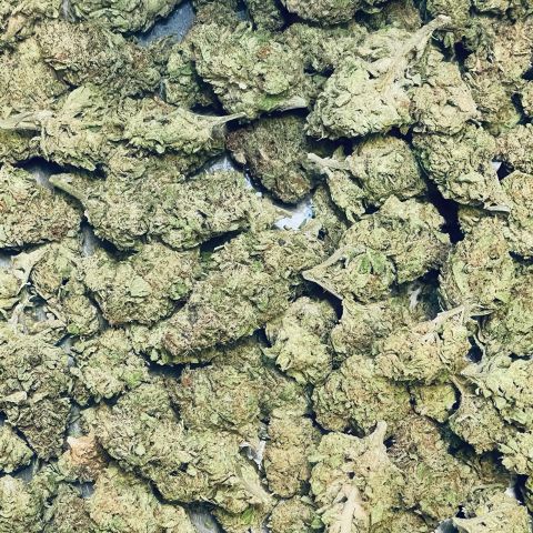 Alien Cookies Flower - THCA - Hybrid - Thumbnail 3