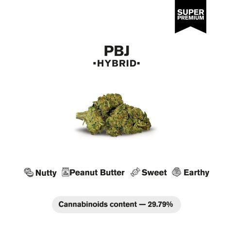 PBJ Flower - THCA - Hybrid - Thumbnail 4