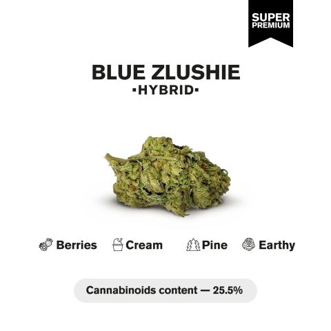 Blue Zlushie Flower - THCA - Hybrid - Thumbnail 4